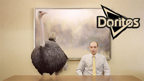 Scriptwriting-Commercial-Doritos-Breakroom-Ostrich